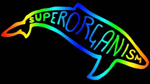Superorganism